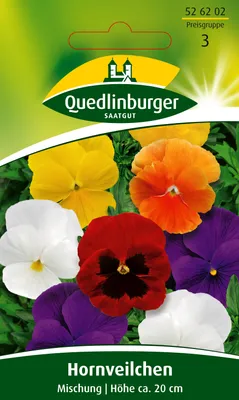 Produktbild von Quedlinburger Saatgut - Hornveilchen - Samen - 526202