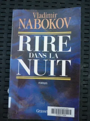Image de Rire dans la nuit