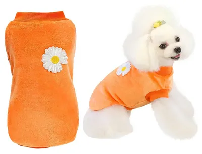 Image de Pull pour chien, en polaire, chaud, pour l'hiver, motif floral, couleur orange, taille XXL