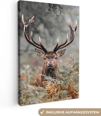 Produktbild von MuchoWow® - Leinwandbilder - Hirsche - Natur - Herbst - Waldtiere, Wandbild, Wanddeko Bilder Wohnzimmer, 20x30 cm