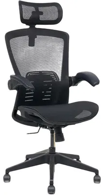 Produktbild von Ergonomischer Bürostuhl OC3 PRO, schwarz
