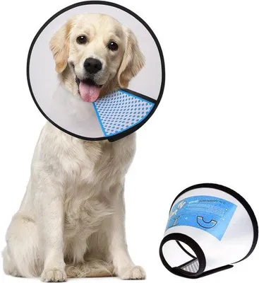 Productafbeelding van Famanu beschermende halsbanden voor huisdieren - Verstelbare en duurzame halsbanden voor katten en kleine honden