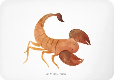 Produktbild von Mr. & Mrs. Panda magnet Sternzeichen Skorpion - Weiß - Geschenk, Notizhalter, zettelhalter, Kühlschrankmagnet, November, Skorpione, Geburtstag Oktober, whiteboardmagnet