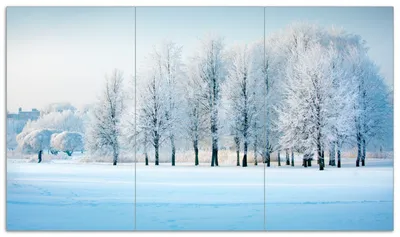 Produktbild von Wallario Herdabdeckplatte aus Glas, Größe 90 x 52 cm 3-teilig, Motiv Verschneite Bäume in einer Winterlandschaft
