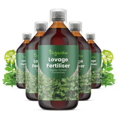 Produktbild von Liebstöckel Flüssigdünger 5x1L – 2-1-8 NPK – Flüssig-Pflanzendünger für Liebstöckel – Organifer