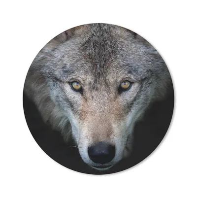 Produktbild von MuchoWow® Mauspad Mousepad Wolf - Porträt - Schwarz 20x20 cm - Mousepads - Maus Mat - Pad - Mausunterlage - Schreibtischmatte