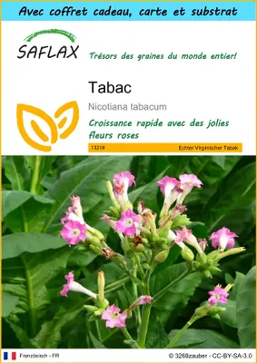 Image de SAFLAX Ensemble-cadeau - Tabac - 250 graines - Nicotiana
