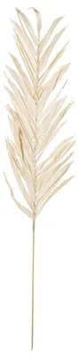 Productafbeelding van Droog tak met natuurlijke bladeren, 100 cm, natuurlijke uitstraling, 100 cm