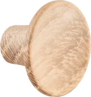 Produktbild von Möbelknopf Tuba ø 28mm - Holzgriff Möbelknauf Tiefe 19mm, Eiche roh