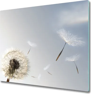 Produktbild von Glas Herdabdeckplatte 60x52 cm Spritzschutz Glasabdeckplatte Schneidebrett Pusteblume