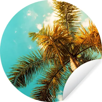 Produktbild von MuchoWow® Runde Wandtattoo - Wandsticker Tapete Aufkleber Palme - Sommer - Tropisch Ø 30 cm Selbstklebend und Repositionierbar - Wandaufkleber - Kreis - Wandbild - Fototapete - Selbstklebend - Dekoration - Wandschmuck - Schlafzimmer