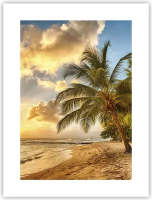 Produktbild von Poster - Poster ohne Rahmen - Strand Meer Palme - 30x40 cm - Wand Bild - Wanddeko - Wandbilder - Kunstposter - Wandposter - Bilder - Kunstdruck - Wanddekoration - Wandbild - P2XPA30x40-3606