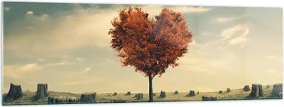 Produktbild von Bilder auf glas - Baum Natur Wiese - 160x50cm - Glasbilder - Wandbilder - Kunstdruck - zum Aufhängen bereit - Wanddekoration aus Glas - Glas Bilder - Wandbild auf Glas - Einteilig - GAB160x50-3751