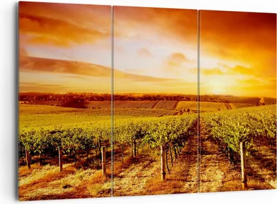 Produktbild von Bild auf Leinwand - Leinwandbild - Weinberg Aussicht Landschaft - 165x110cm - Wand Bild - Wanddeko - Leinwanddruck - Bilder - Kunstdruck - Wanddekoration - Leinwand bilder - Wandkunst - CE165x110-0170