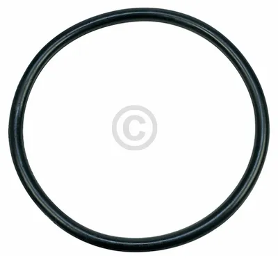 Produktbild von ELECTROLUX - Dichtung Sieb / Pumpentopf  - Ø172mm - 8996461217706