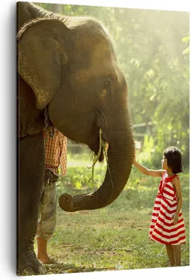 Produktbild von Bild auf Leinwand - Leinwandbild - Einteilig - Elefant Tier - 50x70cm - Wand Bild - Wanddeko - Wandbilder - Leinwanddruck - Kunstdruck - Wanddekoration - Leinwand bilder - Wandbild - PA50x70-3884