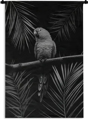 Produktbild von MuchoWow® Wandteppich Wandbehang Vogel auf schwarzem Hintergrund - schwarz und weiß 90x135 cm Tapisserie Dekoration Wandtuch - Baumwolle - Wandskulptur