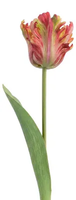 Immagine prodotto di Clayre & Eef, fiore artificiale, colore arancione, materiale: plastica