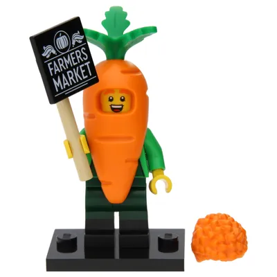 Zdjęcie produktu dla LEGO Seria 24: Kostium marchewki
