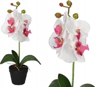Produktbild von Orchidee Orchidee Kunstblumen im 38 cm Topf