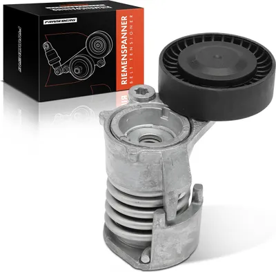 Zdjęcie produktu dla Frankberg Napinacz paska klinowego wielorowkowego dla Ford Focus II T39157