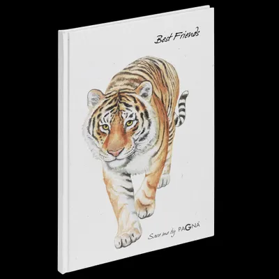 Produktbild von Pagna Freundebuch Tiger 60S 4009212061737