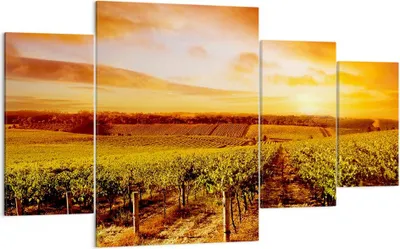 Produktbild von Bild auf Leinwand - Leinwandbild - Weinberg Aussicht Landschaft - 160x90cm - Wand Bild - Wanddeko - Leinwanddruck - Bilder - Kunstdruck - Wanddekoration - Leinwand bilder - Wandkunst - DL160x90-0170