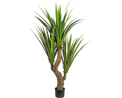 Produktbild von Kunstpflanze Agave Höhe: 160 cm grün