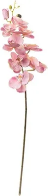 Immagine prodotto di Orchidea Artificiale 365-1Sd