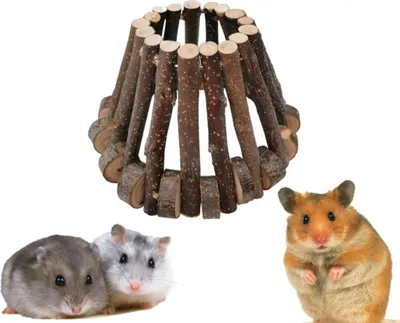 Produktbild von Hamster Holzverstecke Meerschweinchen Leiter Ratte Kauspielzeug Holzleiter Naturversteck Für Kleintier Chinchillas Gerbils Frettchen Syrischer Hamster