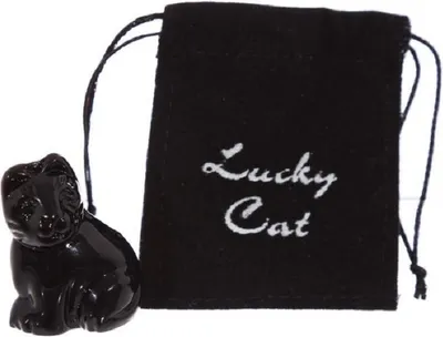 Image de Mini chat noir porte-bonheur avec pochette par Lisa Parker