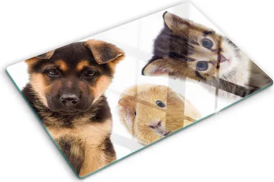 Produktbild von Tulup Glas Herdabdeckplatte - 80x52 cm - Glaskeramikkochfeld-Abdeckung Spritzschutz Glasabdeckplatte - Einteilig - Tiere - Haustiere - Braun