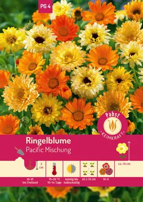 Artikelbild 1 von 'Ringelblume Pacific Mischung' aus der Kategorie Ringelblumensamen