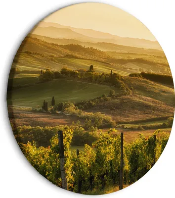 Produktbild von Runde Bilder 80x80 cm Landschaft Toskana Leinwandbild 1 tlg Kunstdruck modern Wandbilder XXL Wanddekoration Design Wand Bild Berge Bäume Natur Panorama c-B-10043-bc-a