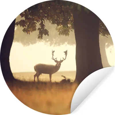 Produktbild von MuchoWow® Runde Wandtattoo - Wandsticker Tapete Aufkleber Hirsche - Bäume - Wald Ø 100 cm Selbstklebend und Repositionierbar - Wandaufkleber - Kreis - Tapetenkreis - Wandbild rund - Schlafzimmerdekoration - Wanddeko - runde Tapete - Kunst für zu Hause