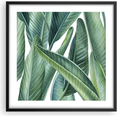 Produktbild von Gerahmtes Poster - Schwarzer Rahmen - Exotisch Blätter Grün - 50x50 cm - Wand Bild - Wanddeko - Wandbilder - Kunstposter - Wandposter - Bilderrahmen - Bilder - Kunstdruck - Wandbild - P2BAC50x50-4258