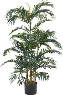 Produktbild von aplanta Künstliche Palme – Kaelani | 135 cm, für drinnen, Kunstbaum, wie echt, Allergiker geeignet, pflanzliche Dekoration Praxis, Office & Wohnzimmer