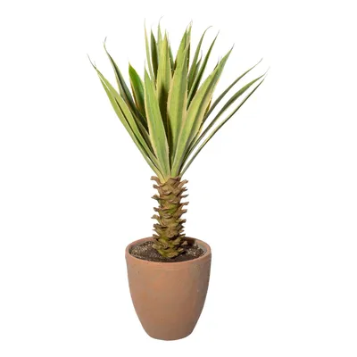 Produktbild von Kunstpflanze Yucca Höhe: 75 cm grün