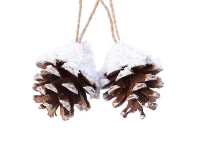 Produktbild von Christbaumschmuck Zapfen 6cm Naturmaterial Braun Weiß 2er Set