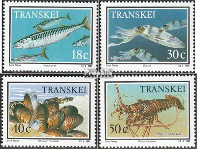 Produktbild von Briefmarken Südafrika - Transkei 1989 Mi 238-241 (kompl.Ausg.) postfrisch Meerestiere
