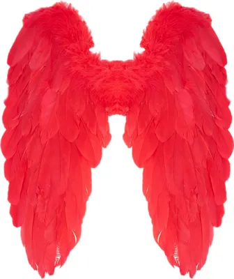 Produktbild von Rote Federflügel Kostümflügel - Fasching Karneval