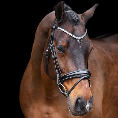 Immagine prodotto di Bridle Imperial Riding IRHOlympia nero argento, misura: Cob