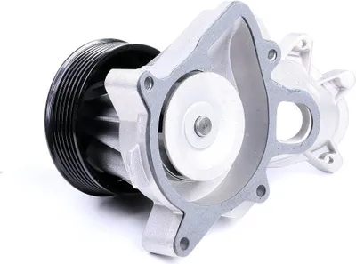 Produktbild von RIDEX 1260W0141 Kühlmittelpumpe Wasserpumpe mit Riemenscheibe für BMW 3 Limousine (E90) 3 Limousine (E46) 5 Limousine (E60) 3 Touring (E46) X3 (E83)