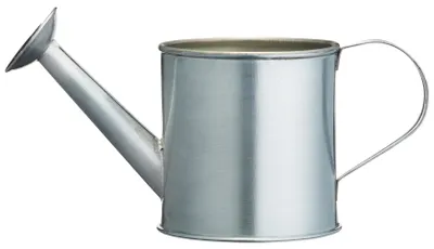 Image de Théière de service
