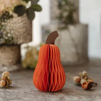 Produktbild von Kürbis hoch aus Papier - orange
