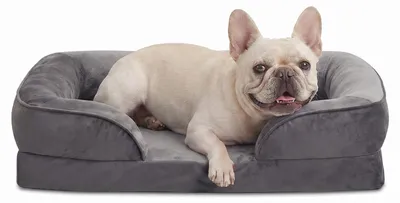 Produktbild von Orthopädisches Hundebett für kleine Hunde - Waschbar mit Memory- und Eierschaum