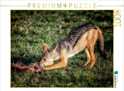 Zdjęcie produktu dla Calvendo 4056502951490, 1000 szt., Animals, 14 lat(a)