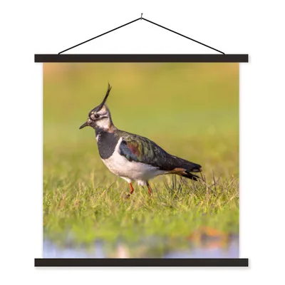 Produktbild von MuchoWow® Textilposter Vogel - Gras - Natur - Tiere - Kiebitz 90x90 cm mit schwarzem Rahmen - Magnetisches