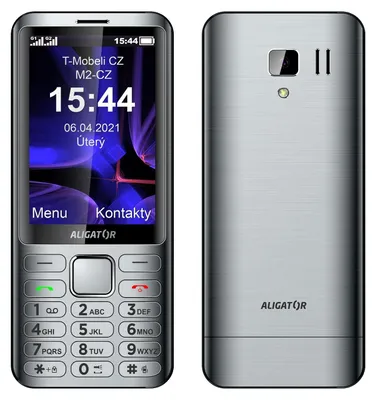 Image de ALIGATOR D950 Dual sim argent, AD950SR