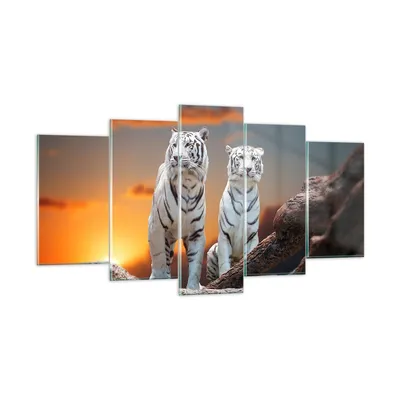Produktbild von Bilder auf glas - Tiger weiß Rock Sonnenuntergang - 160x85cm - Glasbilder - Wandbilder - Kunstdruck - zum Aufhängen bereit - Wanddekoration aus Glas - Glas Bilder - Wandbild auf Glas - GEA160x85-2901